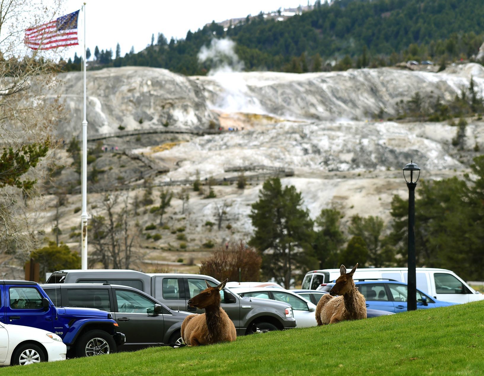 Spring in Yellowstone